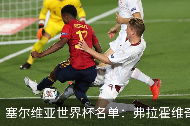 塞尔维亚世界杯名单：弗拉霍维奇领衔 古德利在列